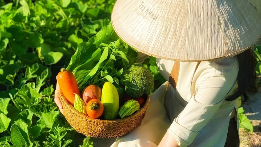 Nông trại hữu cơ