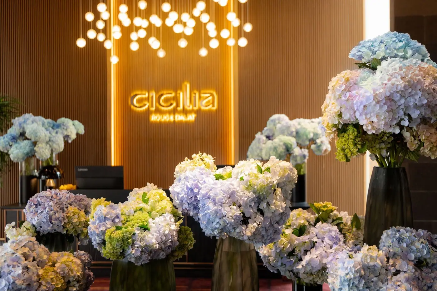 Ảnh Cicilia Rouge Hotel Đà Lạt 6